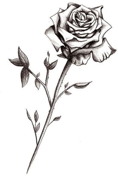 Rose Tattoo Designs - The Body is a Canvas