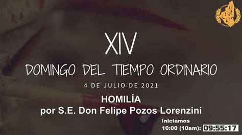 Homil A Del Xiv Domingo Del Tiempo Ordinario Por S E Don Felipe Pozos