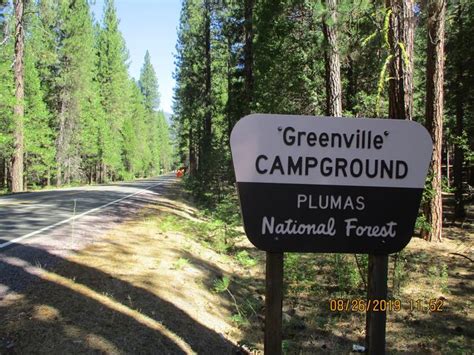 Greenville Campground Plumas National Forest