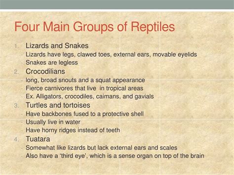 PPT - Reptiles PowerPoint Presentation, free download - ID:2479763