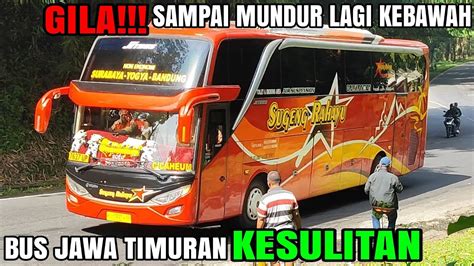 Entah Kenapa Bus Sugeng Rahayu Kesulitan Nanjak Sampai Mundur Jauh