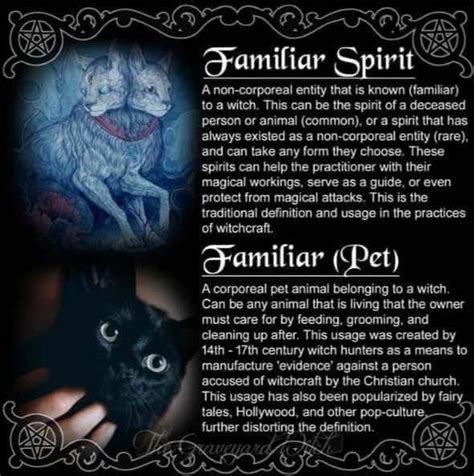 Pin By Hellbetty T On Blessed Be Witches Familiar Find Your Spirit