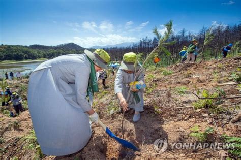 인제소식 인제국유림관리소 훼손 산림 23㏊ 복원 추진 파이낸셜뉴스