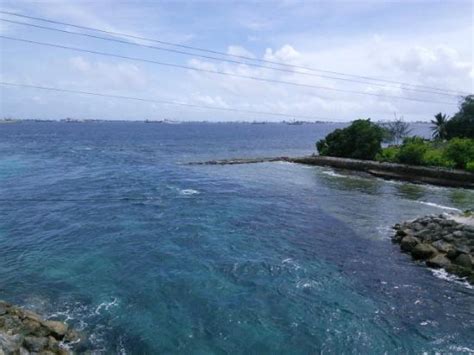 Majuro Bridge - 2021 All You Need to Know Before You Go (with Photos ...