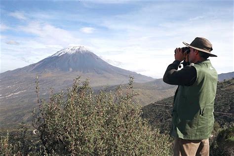 Arequipa acogerá festival de cine Censurados desde mañana Noticias