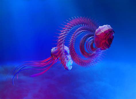 Aaron Sedgwick - Siphonophore Creature