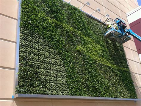 What Are Living Green Walls | Benefits & How They're Made