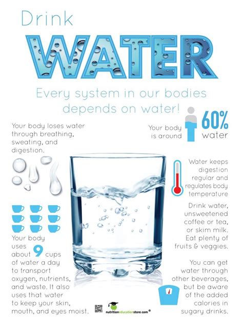 Drink Water Poster 18x 24 Laminated Poster Water Poster Drinking