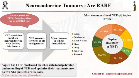 Neuroendocrine Tumors Sapien Biosciences