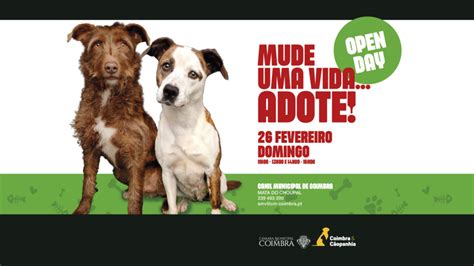 Canil Municipal promove adoção de animais mais um Open Day no dia