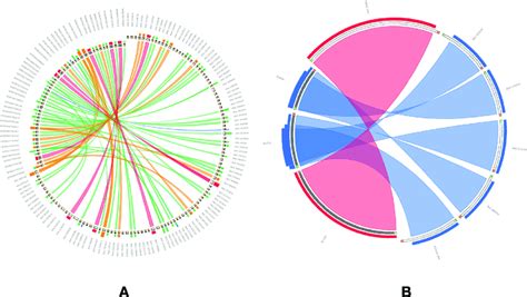 Circos Plot Showing Significant Blast Hits Of Alnc Lncrnas To A Download Scientific Diagram