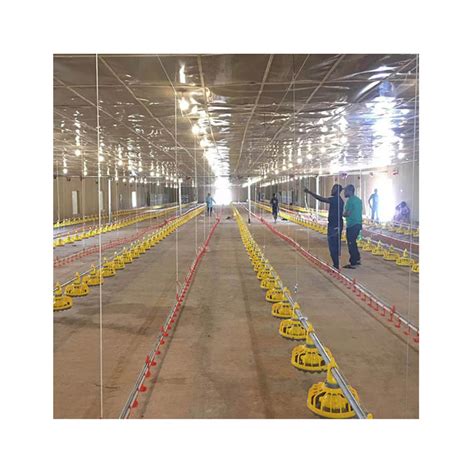 Chicken Poultry Equipment Poultry Farm Broiler Floor Feeding System For Sales Chicken Poultry