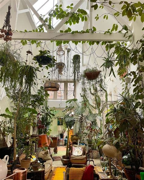 Pin By Barbara B On Jungalows House Plants Decor Dream Decor Plant