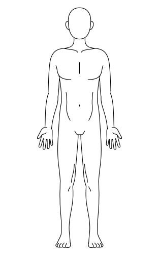 Human Body Bare And Nude Frontal View Royalty Free Vector