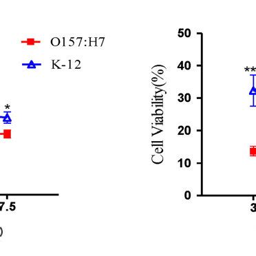 Time Dependent Effects On Cell Viability Of Hela Cells A And Ht