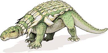 Free Edmontonia-dinosaur Clipart - Free Clipart Graphics, Images and ...