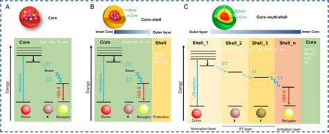 Longlived Second Nearinfrared Luminescent Probes An Emerging Role In