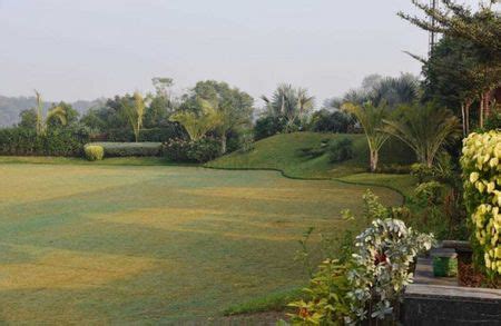 Savanna Party Lawn S P Ring Road Ahmedabad Wedding Venue Cost