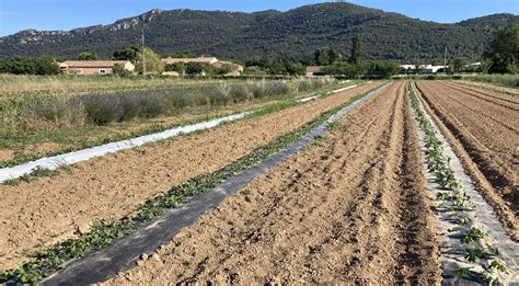 La préfecture étrille le PLUI du Pays d Aubagne et émet un avis défavorable