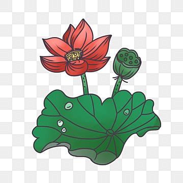 Lotus Leaf Hd Transparent Lotus Lotus Leaf Png Material Hand Painted