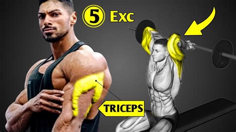 5 Best Tricep Exercises For Bigger Arms Triceps Workout Go Go Gym Go Youtube