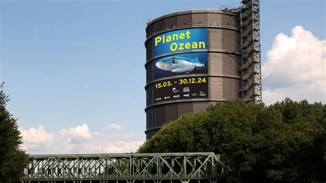 Planet Ozean Neue Ausstellung Im Gasometer Oberhausen Oberhausen