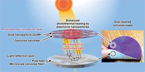 Schematic Illustration Of The Solar Driven Photothermal Heating By