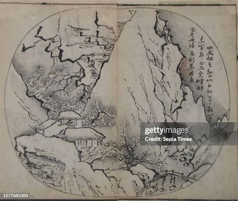 156 Lan Ying Stock Photos, High-Res Pictures, and Images - Getty Images 