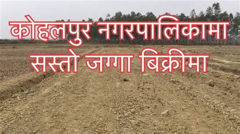 Land For Sale Ghaderi Bikrima Kohalpur Youtube