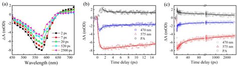 Nanomaterials Free Full Text Ultrafast Charge Carrier Dynamics In Inp Znse Zns Core Shell