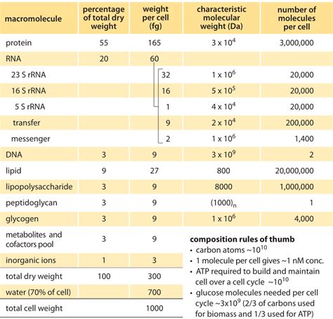 😊 Chemical composition of cytoplasm. The Composition and Organization ...