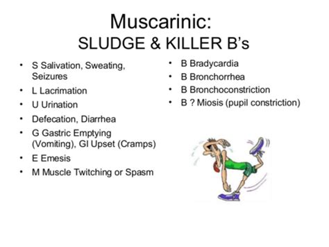 Em Toxicology Flashcards Quizlet