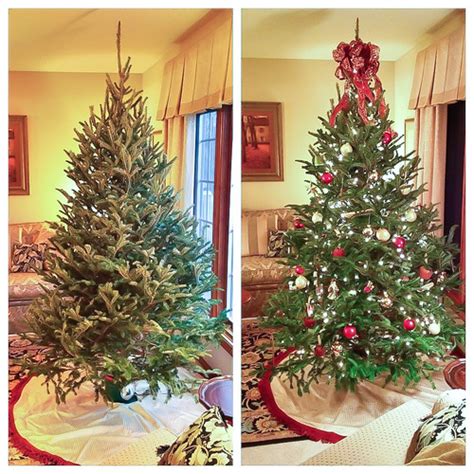 331365 The Christmas Tree Before And After Cameraiphon Kevin