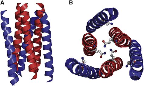 A De Novo Designed Coiled Coil Peptide With A Reversible Ph Induced