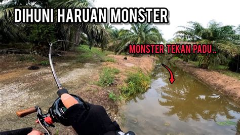 Casting Haruan Lubuk Haruan Padu Padu Di Dalam Kebun Sawit Bullzen