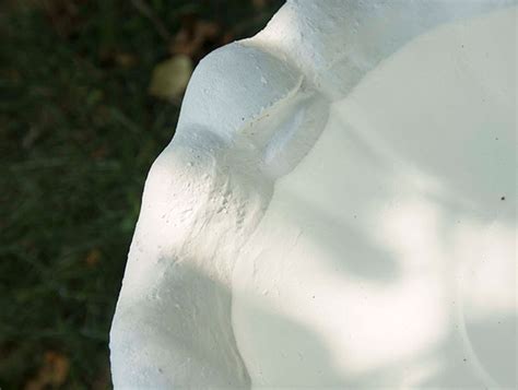 How to Seal a Concrete Bird Bath? - Birding Depot