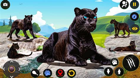 Wild Panther Sim D Android Gameplay Hd Wild Black Panther Hunting