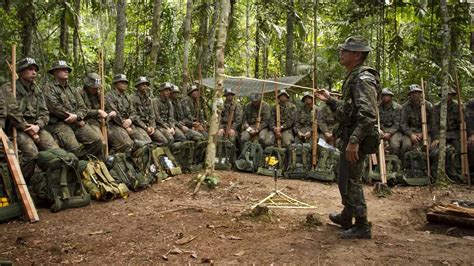 Floresta Equatorial Confira Sobre O Assunto Cobrado Nas Provas Militares