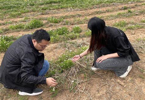 信阳农林学院科技特派员赴固始开展科技服务工作 信阳农林学院 园艺学院