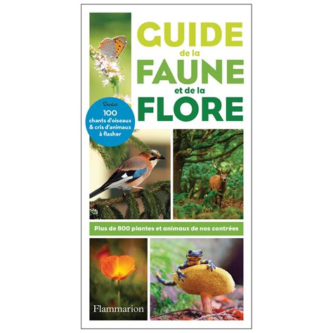 Guide De La Faune Et De La Flore Nature D Couvertes