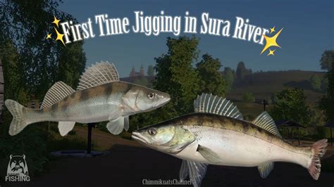 Sura River First Time Jigging Wow So Many Volga Zander Here Ft