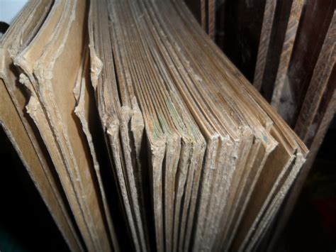 Прессшпан купить по цене 200 ₽ в Краснодаре на PromPortal.Su (ID#2273879)