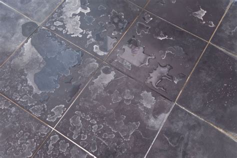 How To Get Stains Out Of White Floor Tiles At Dale Kowalski Blog