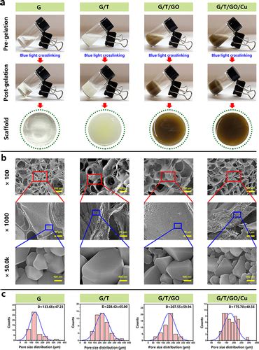 Full Article Go Cu Nanosheet Integrated Hydrogel Platform As A