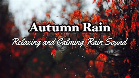 Autumn Rain | Relaxing Rain Sound | Calming Rain Sound - YouTube