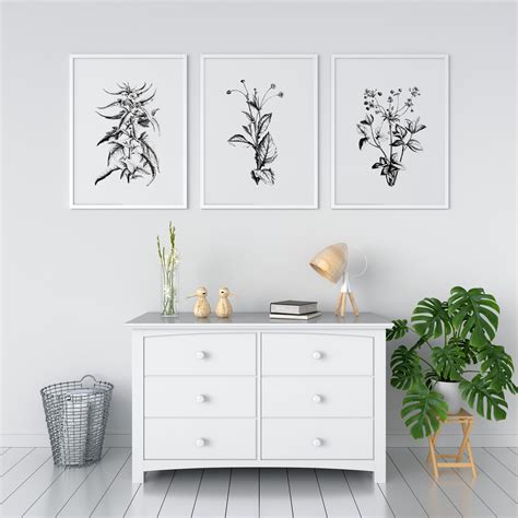 Set Of 3 Botanical Prints Farmhouse Prints Modern Farmhouse Wall Art