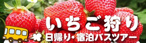 【いちご狩り】日帰り・宿泊バスツアー 【開発環境】格安ベストワンバスツアー