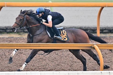 【神戸新聞杯・木曜追い切り】ダービー3着馬ハーツコンチェルトは松山を背に豪快な伸び 「最後も反応があって良かった」 競馬ニュース・特集なら