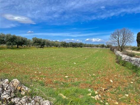 Terreno Agricolo Strada Vicinale Sant Elia Acquaviva Delle Fonti Rif