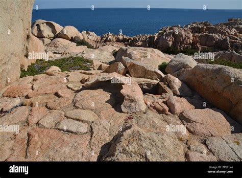 Candeo Isola Di Caprera Parco Nazionale Arcipelago Di La Maddalena